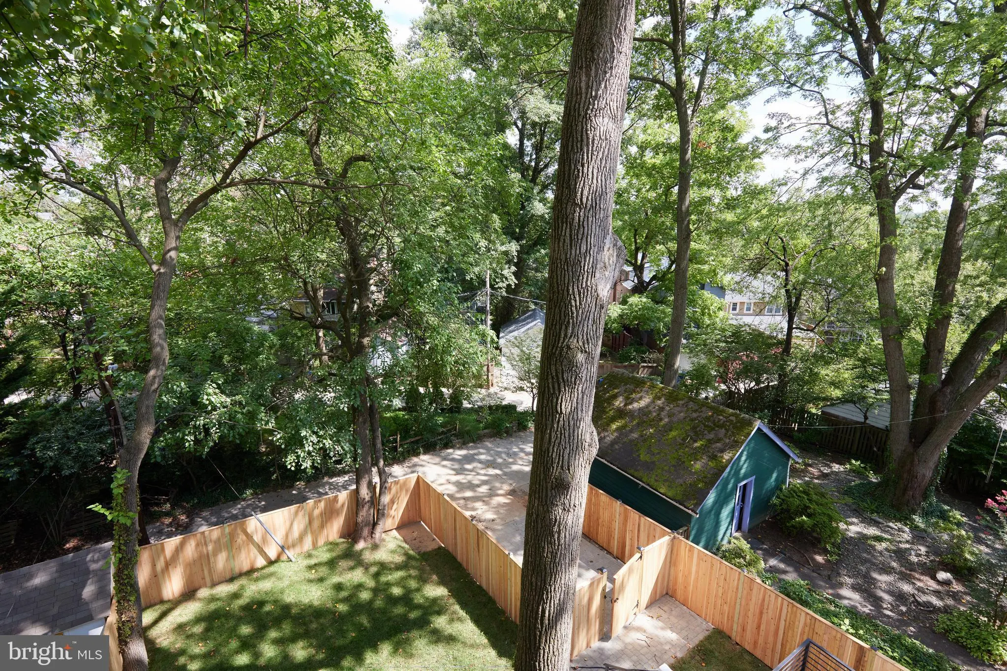 Backyard with mature trees and wooden fence