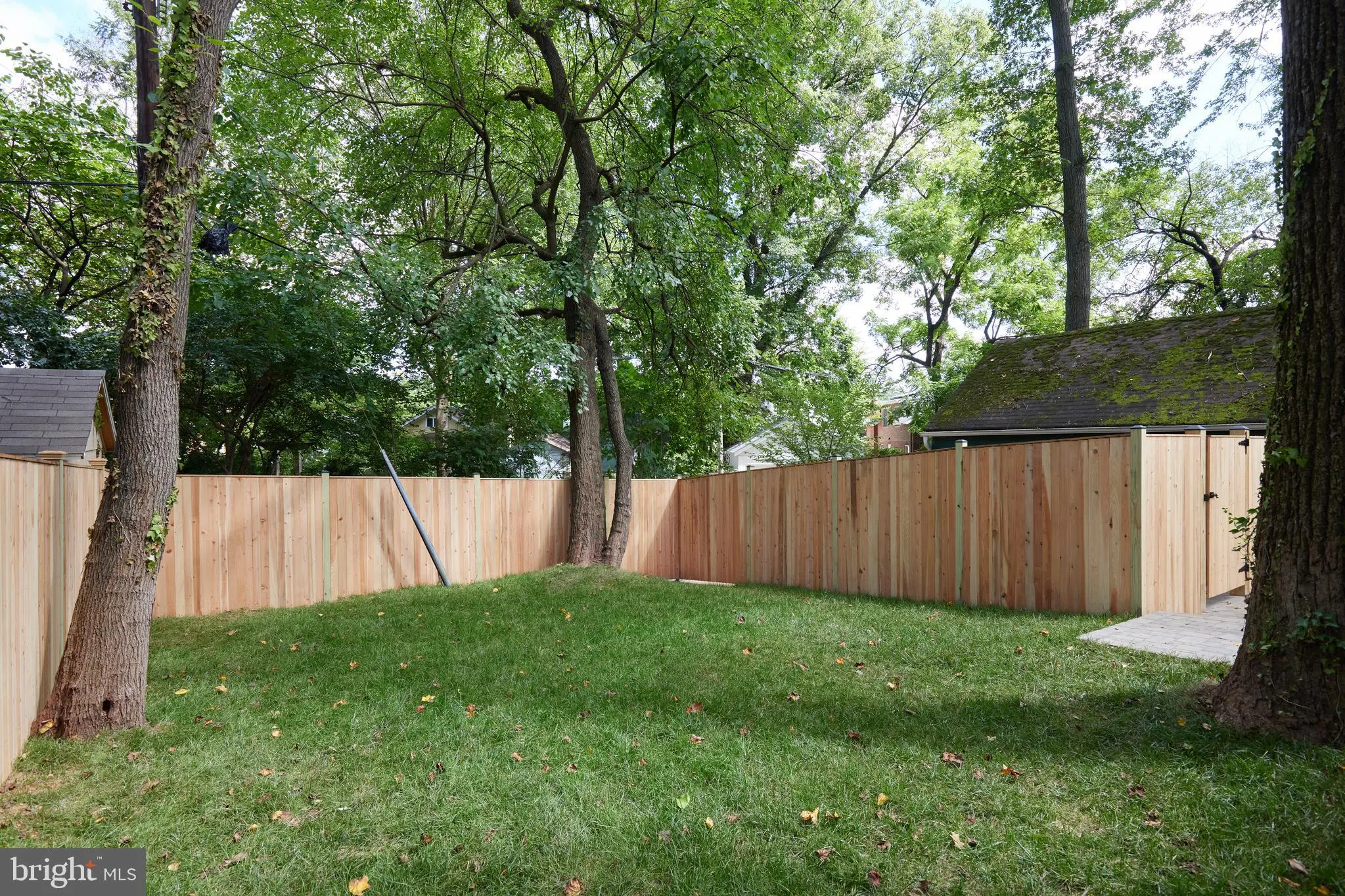 Fenced backyard with mature trees and grass lawn area